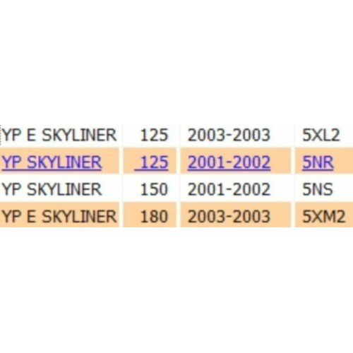 Codino Yamaha Majesty e Skyliner...