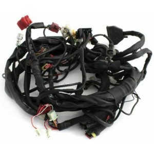 Impianto elettrico Malaguti...