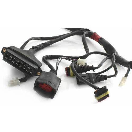 Impianto elettrico Malaguti SpiderMax GT