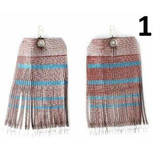 Retina parafango in... 2