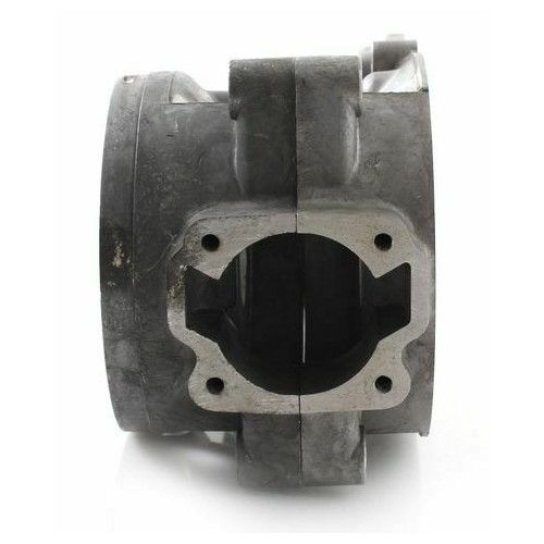 Coppia carter motore ciclomotori Benelli