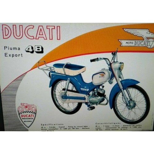 Forcella Ducati Piuma Export 48