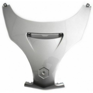 Scudo anteriore centrale...