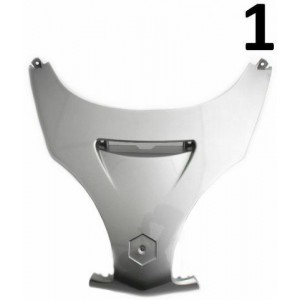 Scudo anteriore centrale... 2