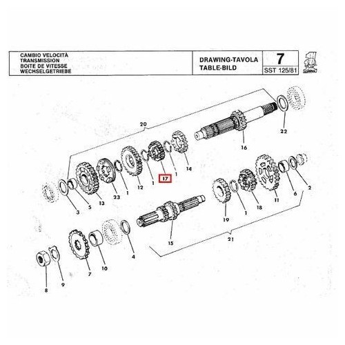 Ingranaggio Z 19 3 velocita Cagiva...