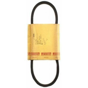 Cinghia trasmissione...