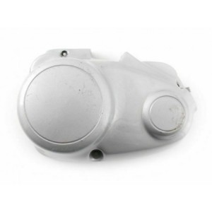 Carter coprifrizione...