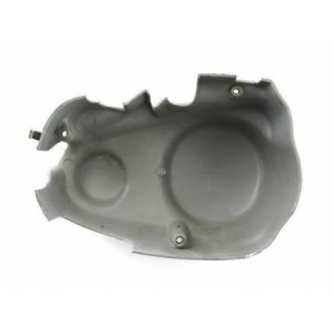 Carter coprifrizione... 2