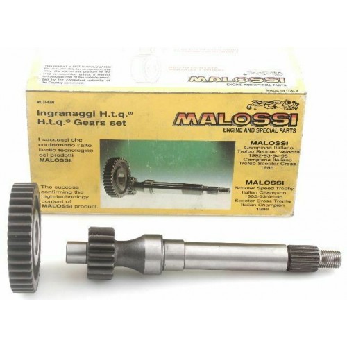 Kit ingranaggi secondari Malossi...