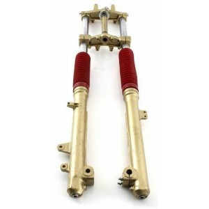 Forcella anteriore Malaguti...