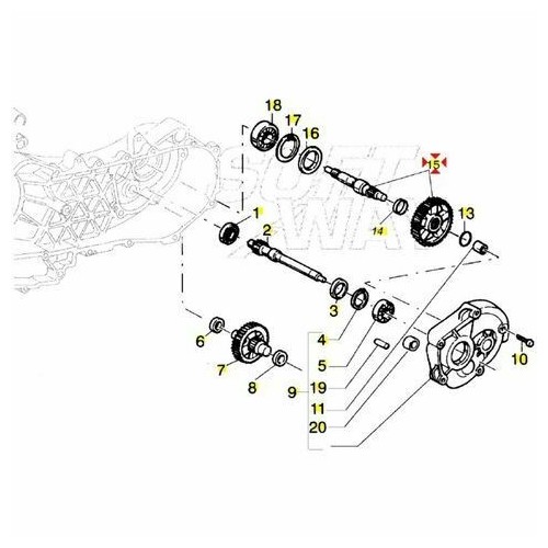 Albero ruota posteriore Liberty e...