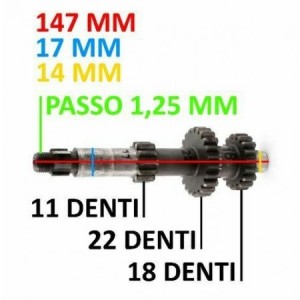 Albero primario FBM e... 2