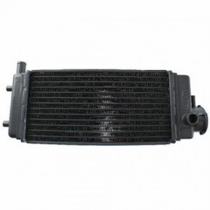 Radiatore acqua Aprilia ETX...