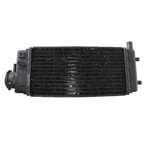 Radiatore acqua Aprilia ETX 125