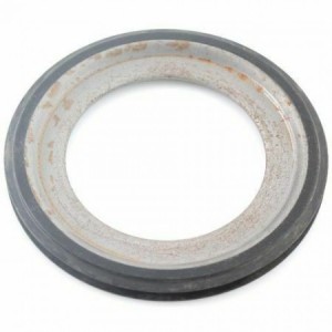 Anello parapolvere forcella...