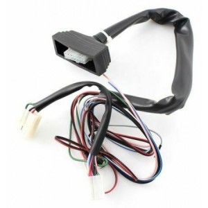 Cablaggio allarme per...