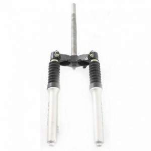 Forcella anteriore Sym... 2