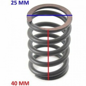 Molla esterna valvole... 2