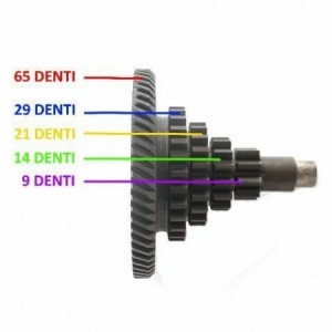 Ingranaggio multiplo... 2