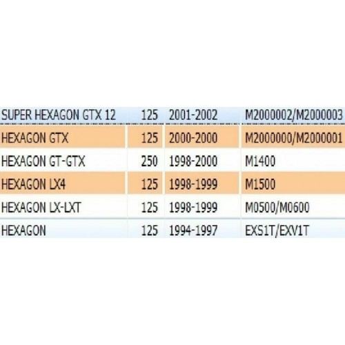 Maniglie posteriori Piaggio Hexagon...