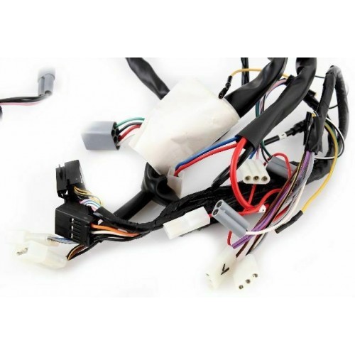 Impianto elettrico Piaggio Free...