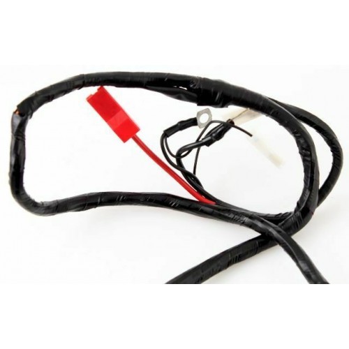 Impianto elettrico Piaggio Free...