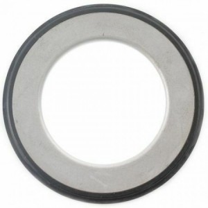 Parapolvere forcella...