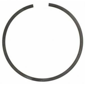 Fascia elastica conica per...