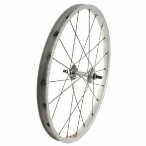 Ruota anteriore bici bimbo...
