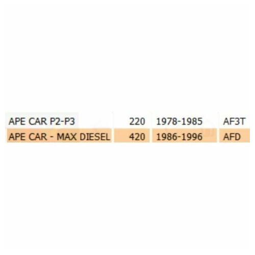 Griglia sbrinatore Ape Car