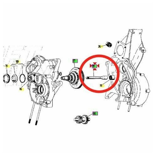 Perno albero primario Ape MP P501 e P601