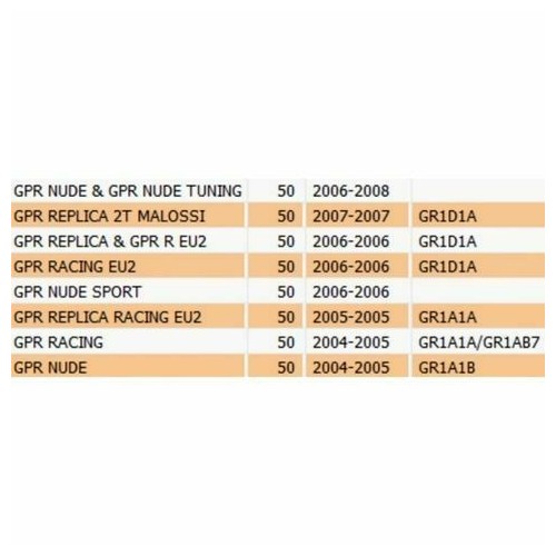 Silenziatore Derbi GPR Nude - Replica...