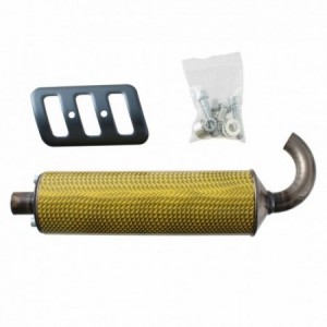 Silenziatore Giannelli...