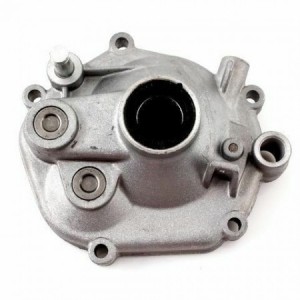 Coperchio ingranaggi...