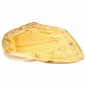 Spugna sella Yamaha Aerox... 2