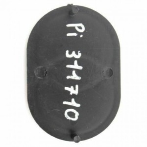 Stemma scudo anteriore... 2