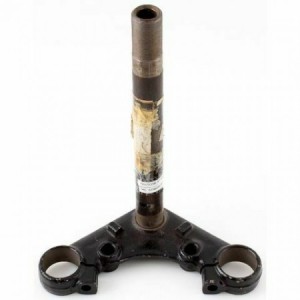 Testa crocera forcella...