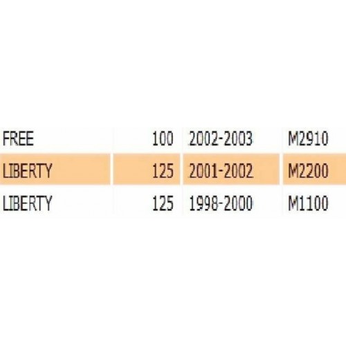 Cerchio in lega posteriore per...