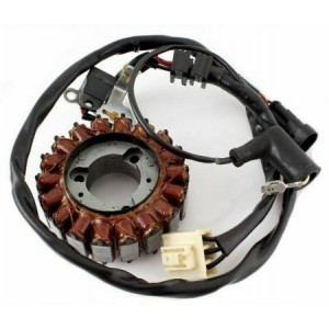 Statore completo Piaggio... 2