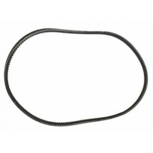 Cinghia Pinasco Piaggio...