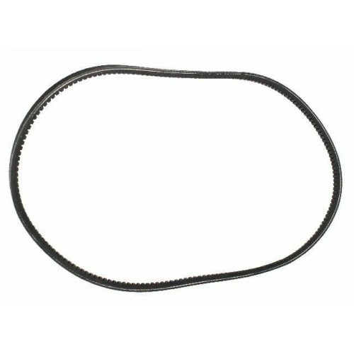 Cinghia Pinasco Piaggio Bravo senza...