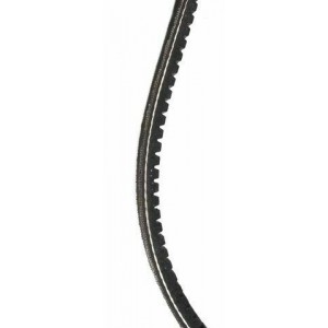 Cinghia Pinasco Piaggio... 2