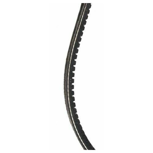 Cinghia Pinasco Piaggio Bravo senza...