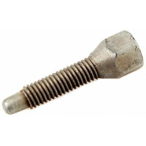 Vite scarico Capriolo Sport