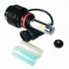 Lampada LED H8 H9 H11 da 15W