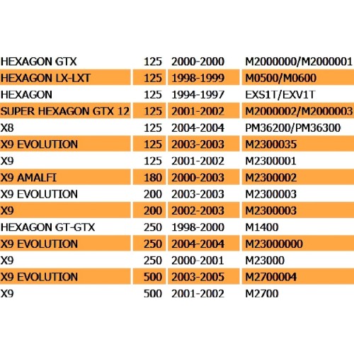 Serbatoio acqua radiatore Piaggio X7...