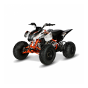 Quad Kayo Storm 180 cc a 4 Tempi