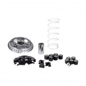 Variatore Malossi Multivar...