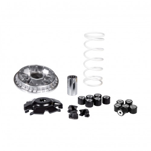 Variatore Malossi Multivar 2000 Honda...