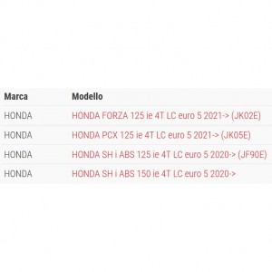 Variatore Malossi Multivar... 2
